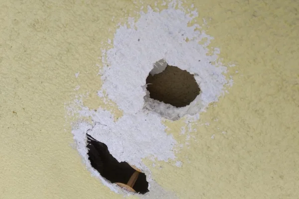 Repairing of woodpecker holes