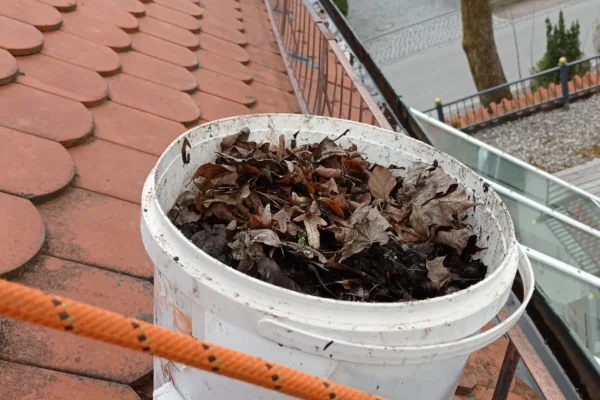 Gutter cleaning